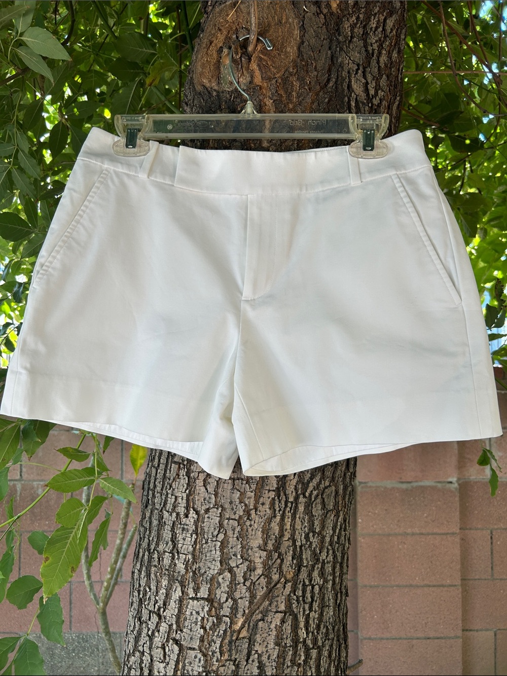 Ralph Lauren Black Label Tailored Shorts Size 4 Luxury Resort Chic High End